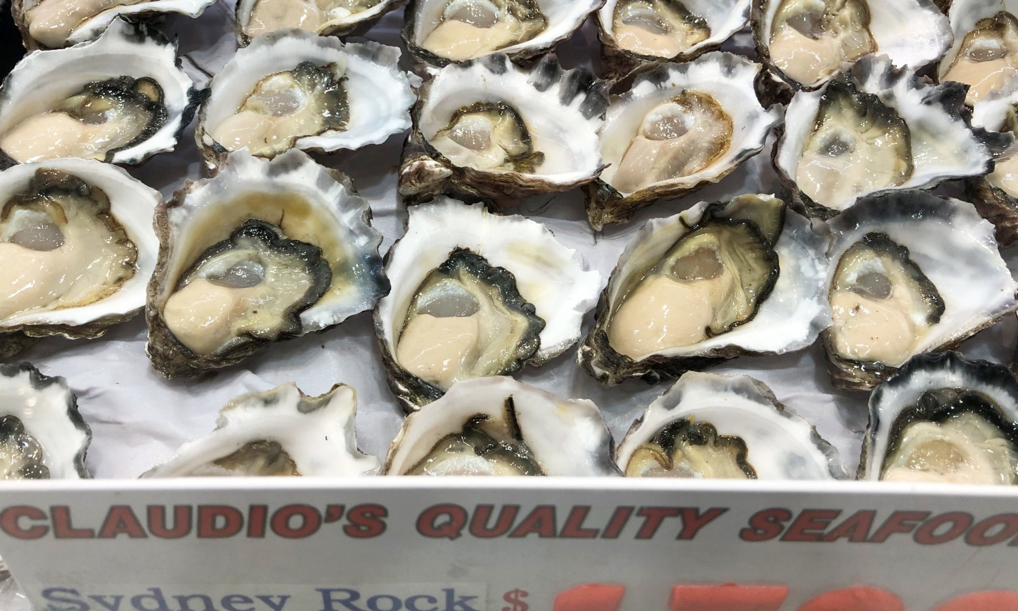 シドニーのフィッシュマーケットで生牡蠣 シドニー ロック オイスターとパシフィック オイスターと食中毒 たかこのブログ Takakoz